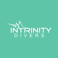 intrinity divers
